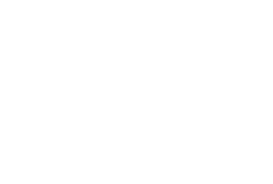 eBIM, BIM
