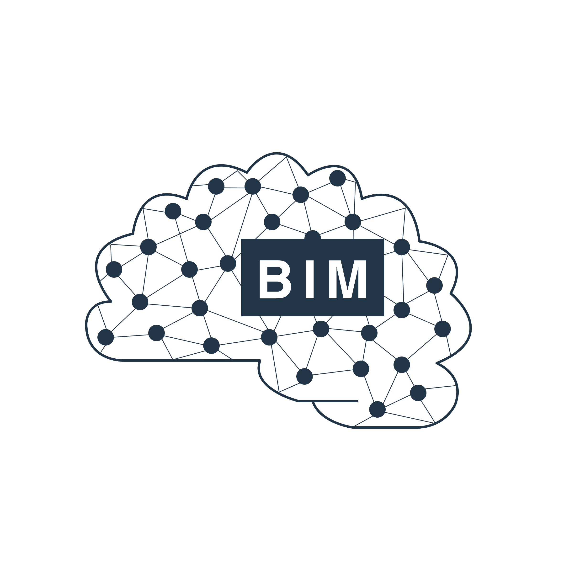 Instruire BIM, Tendinte BIM, Educatie BIM, Design BIM, Progres BIM, Experti BIM, Gemini Digitali BIM, Familiarizare BIM